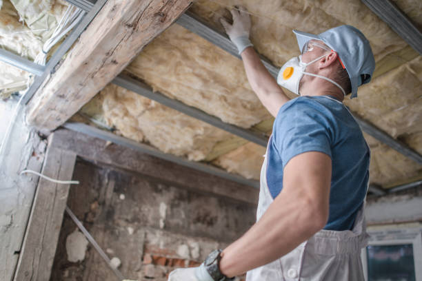 Best Commercial Insulation in Piney Mountain, VA